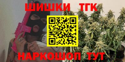 индика Заводоуковск