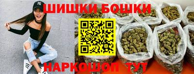 индика Заводоуковск