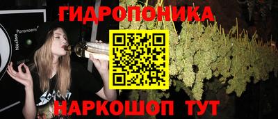 дживик Жуковский