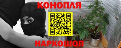 дживик Жуковский