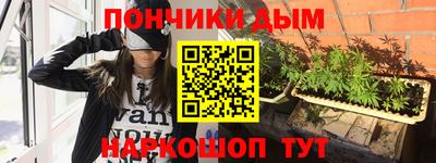 индика Заводоуковск