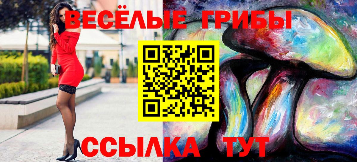 Донской  Псилоцибиновые грибы мицелий  Вход с VPN  Псилоцибиновые грибы GOLDEN TEACHER 